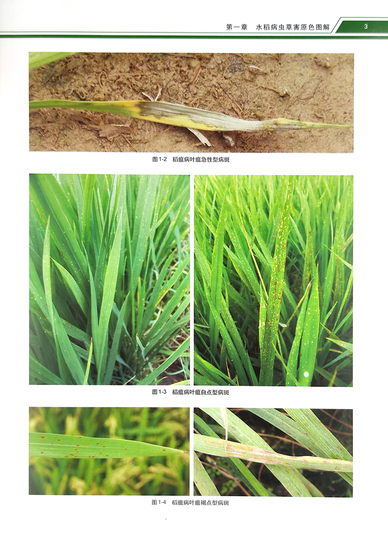 1727100067811292.jpg 详情5.jpg