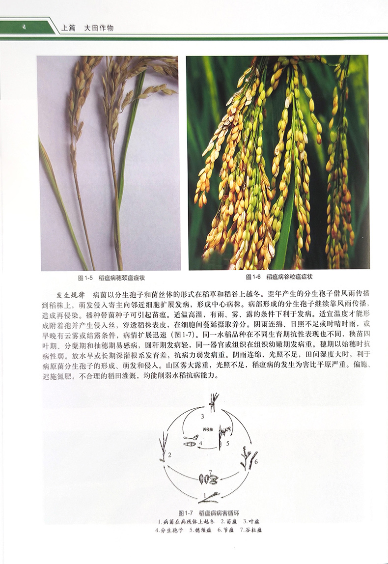 1727100076443645.jpg 详情4.jpg