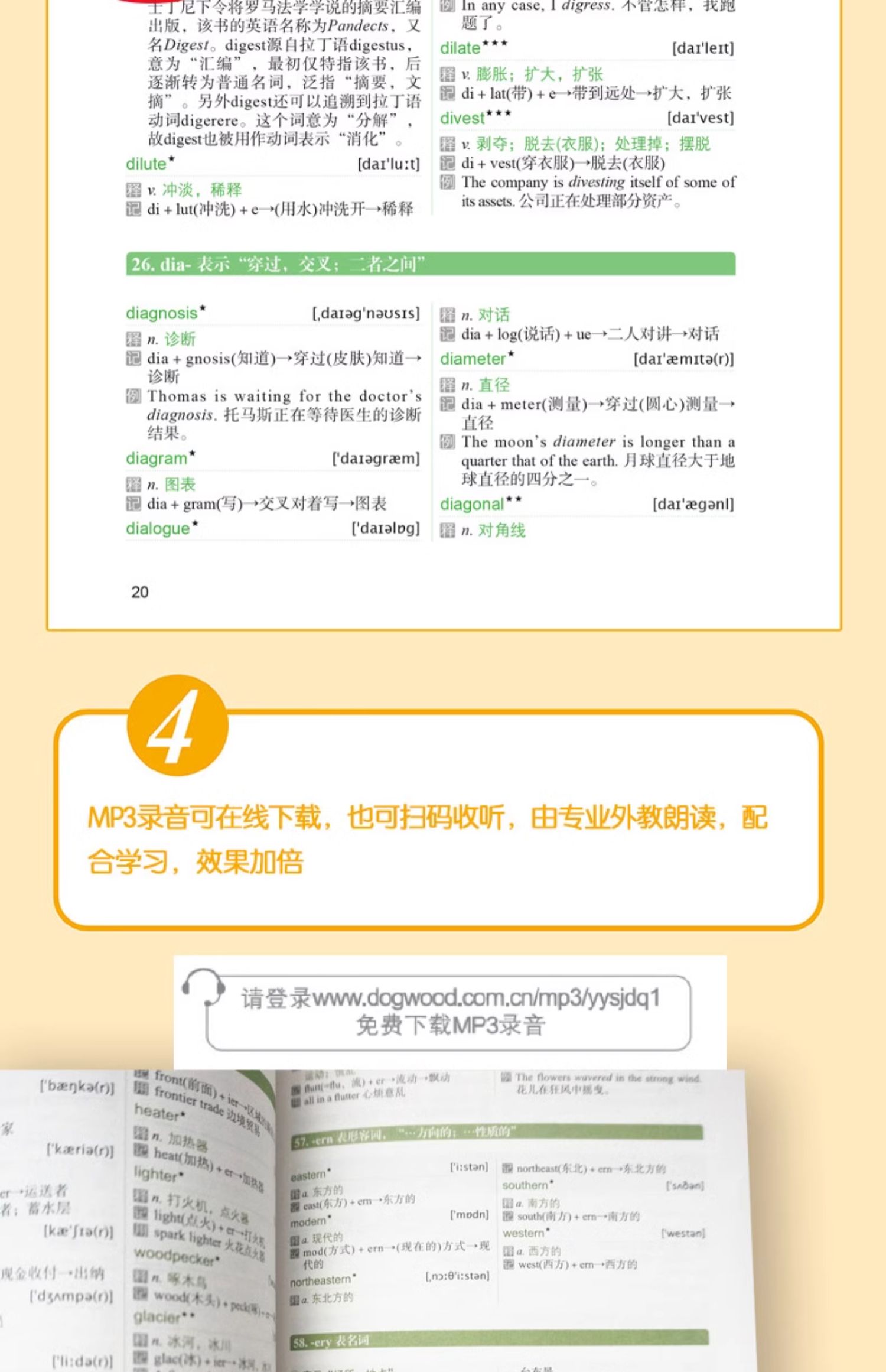 1735469175610060.jpg 详情13.jpg