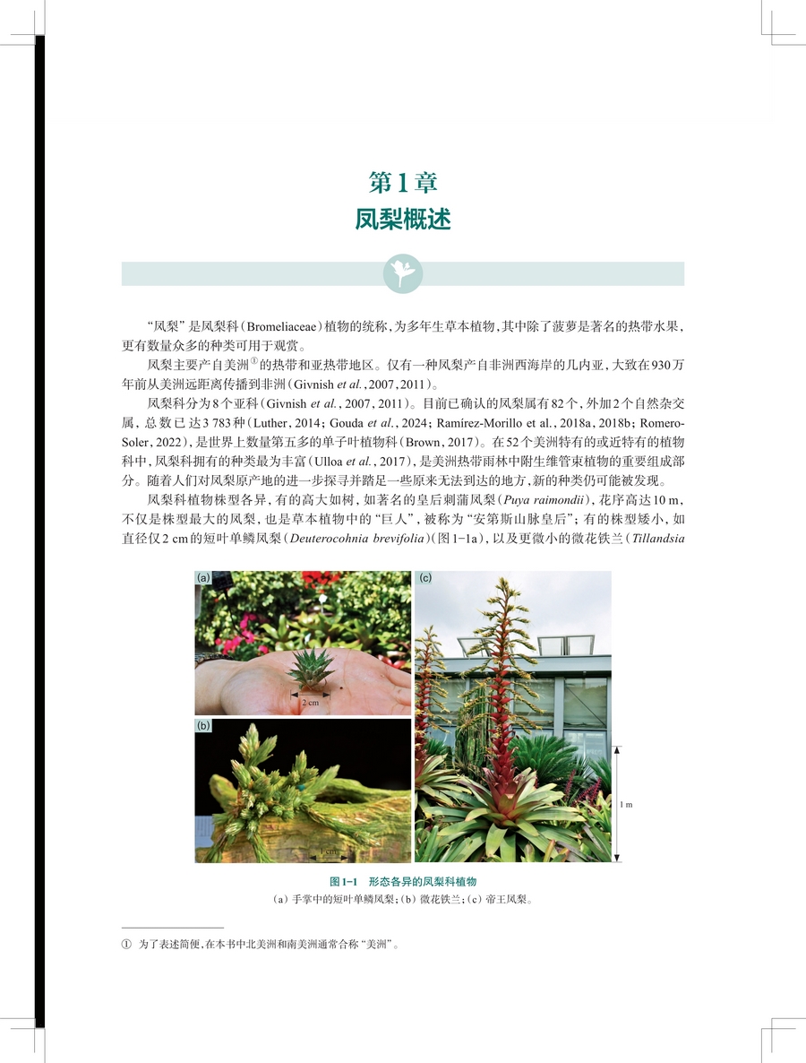 1743565745736698.jpg 详情1.jpg