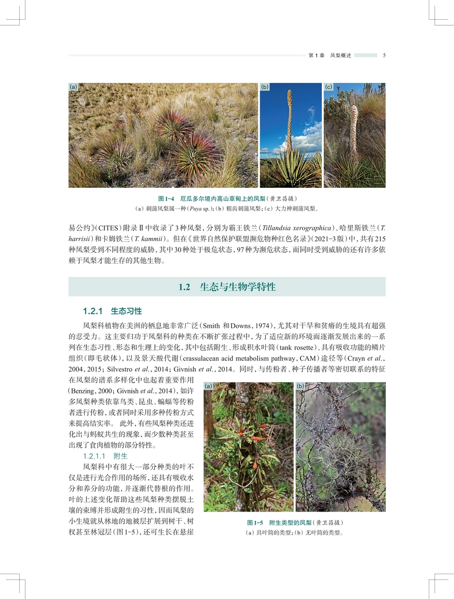 1743565778343280.jpg 详情5.jpg