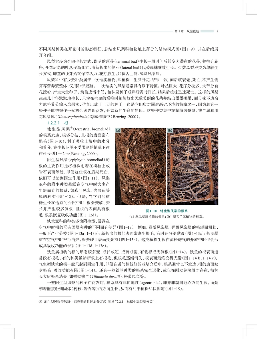 1743565814296539.jpg 详情9.jpg