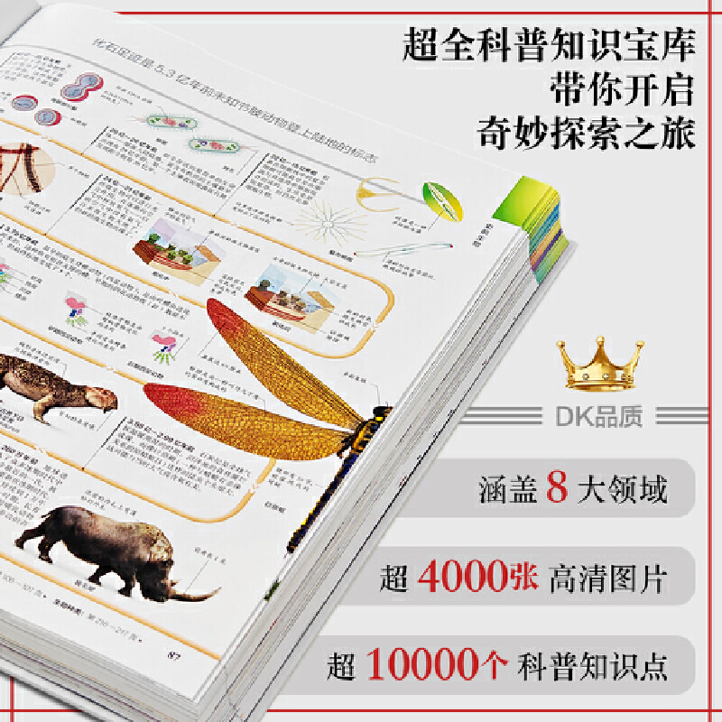 2025年新書推薦：【DK探索大百科】一本幾乎涵蓋人類所有知識領域的綜合性百科全書