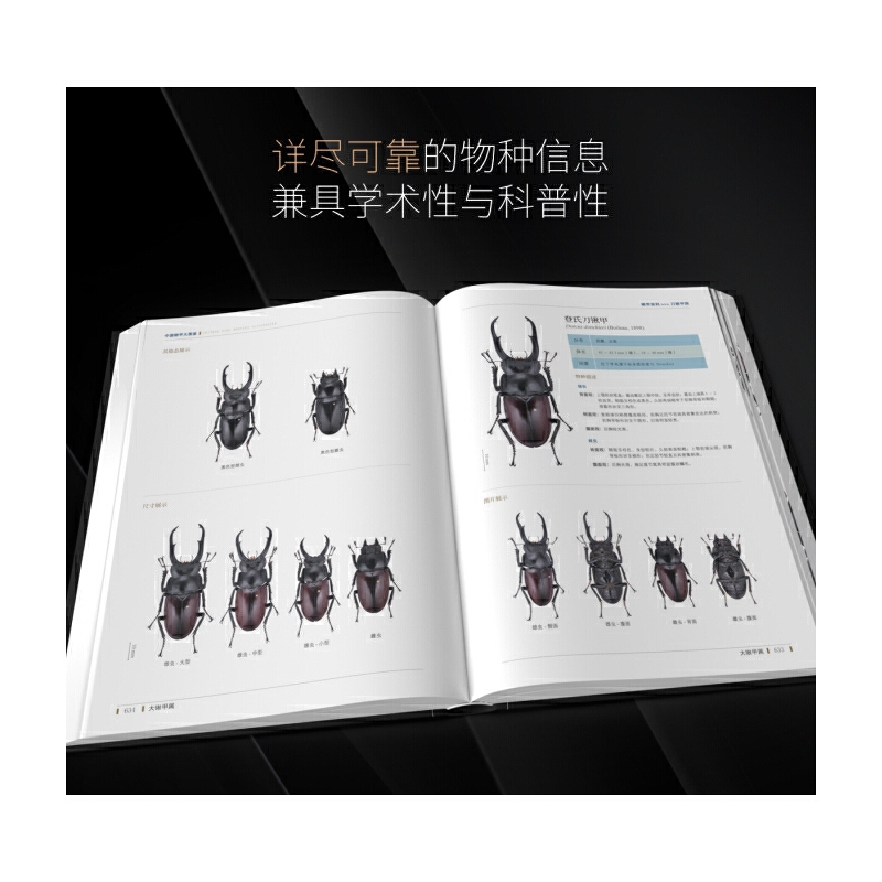 2025年新書推薦：【中國鍬甲大圖鑒】