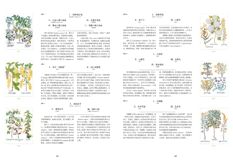 1761228549159946.jpg 书摘4.jpg