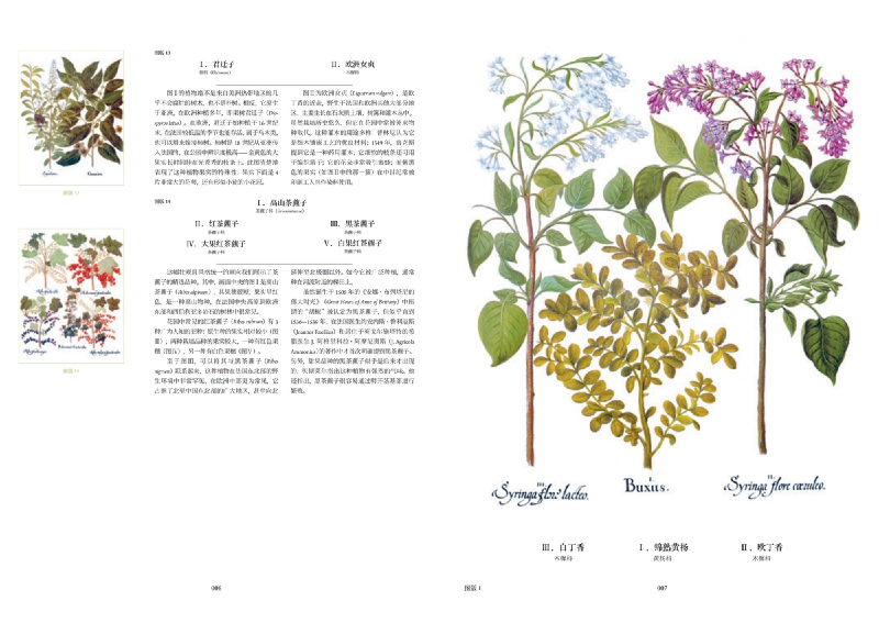 1761228558906319.jpg 书摘5.jpg