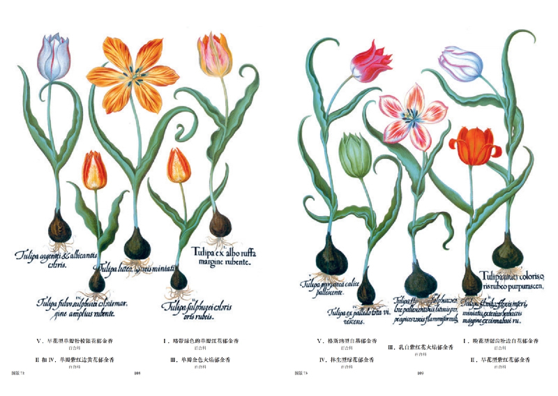 1761228570564235.jpg 书摘7.jpg