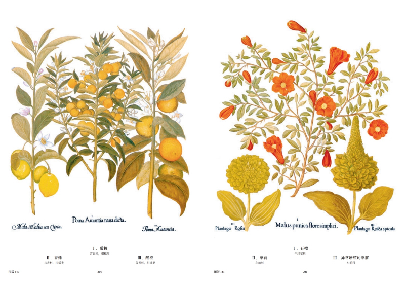 1761228577663638.jpg 书摘9.jpg