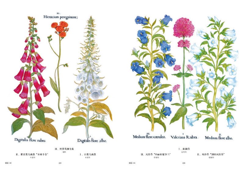 1761228581909828.jpg 书摘10.jpg