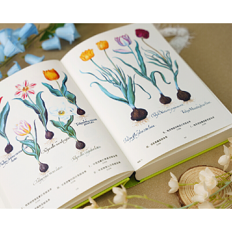 2025新書推薦:【植物聖經】(法國國家自然歷史博物館典藏全彩復刻,跨越400年的科學與藝術瑰寶,一部改寫人類植物認知的里程碑式巨作) 2025新書推薦:【植物聖經】(法國國家自然歷史博物館典藏全彩復刻,跨越400年的科學與藝術瑰寶,一部改寫人類植物認知的里程碑式巨作)