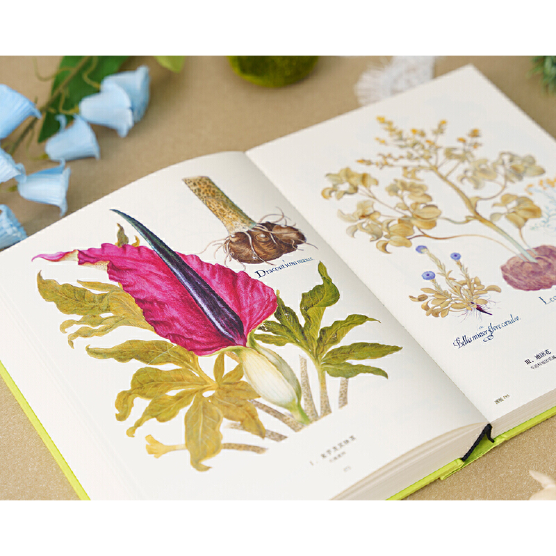 2025新書推薦:【植物聖經】(法國國家自然歷史博物館典藏全彩復刻,跨越400年的科學與藝術瑰寶,一部改寫人類植物認知的里程碑式巨作) 2025新書推薦:【植物聖經】(法國國家自然歷史博物館典藏全彩復刻,跨越400年的科學與藝術瑰寶,一部改寫人類植物認知的里程碑式巨作)