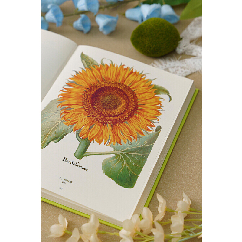 2025新書推薦:【植物聖經】(法國國家自然歷史博物館典藏全彩復刻,跨越400年的科學與藝術瑰寶,一部改寫人類植物認知的里程碑式巨作) 2025新書推薦:【植物聖經】(法國國家自然歷史博物館典藏全彩復刻,跨越400年的科學與藝術瑰寶,一部改寫人類植物認知的里程碑式巨作)