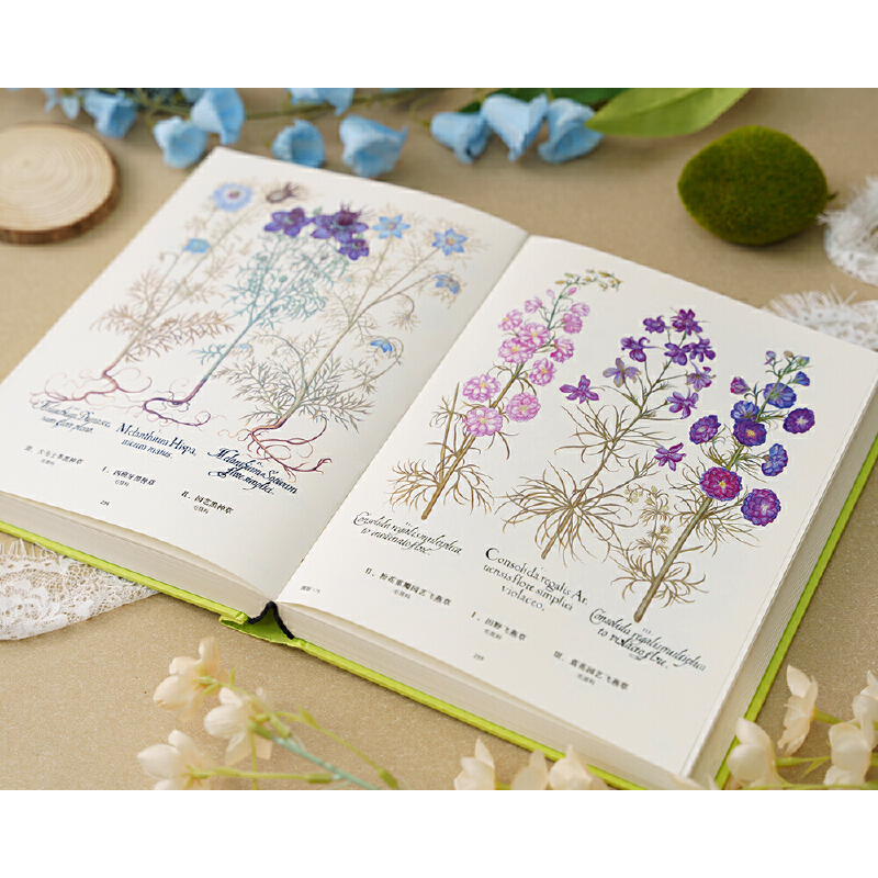 2025新書推薦:【植物聖經】(法國國家自然歷史博物館典藏全彩復刻,跨越400年的科學與藝術瑰寶,一部改寫人類植物認知的里程碑式巨作) 2025新書推薦:【植物聖經】(法國國家自然歷史博物館典藏全彩復刻,跨越400年的科學與藝術瑰寶,一部改寫人類植物認知的里程碑式巨作)