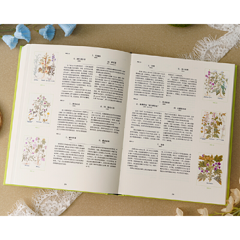 2025新書推薦:【植物聖經】(法國國家自然歷史博物館典藏全彩復刻,跨越400年的科學與藝術瑰寶,一部改寫人類植物認知的里程碑式巨作) 2025新書推薦:【植物聖經】(法國國家自然歷史博物館典藏全彩復刻,跨越400年的科學與藝術瑰寶,一部改寫人類植物認知的里程碑式巨作)