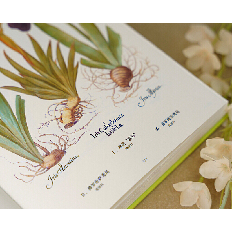 2025新書推薦:【植物聖經】(法國國家自然歷史博物館典藏全彩復刻,跨越400年的科學與藝術瑰寶,一部改寫人類植物認知的里程碑式巨作) 2025新書推薦:【植物聖經】(法國國家自然歷史博物館典藏全彩復刻,跨越400年的科學與藝術瑰寶,一部改寫人類植物認知的里程碑式巨作)