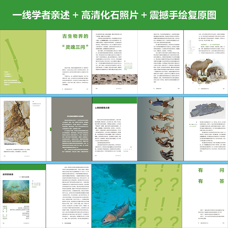 2025新書推薦:【咱們的國寶化石】全四冊 2025新書推薦:【咱們的國寶化石】全四冊