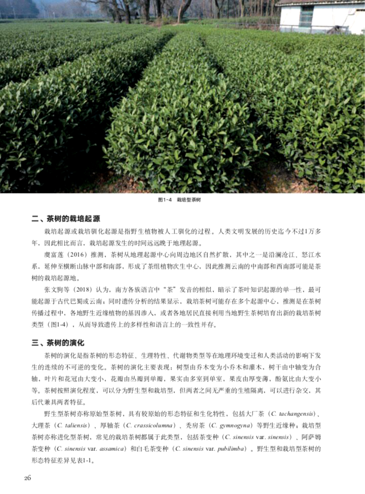 书摘3.jpg
