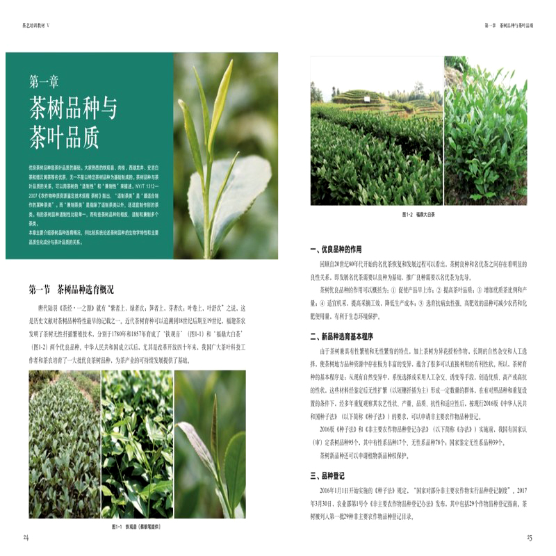 【茶藝培訓教材】全5冊