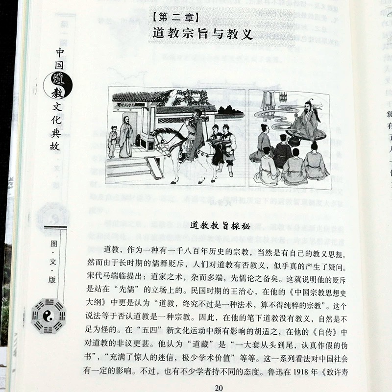 详情10.jpeg