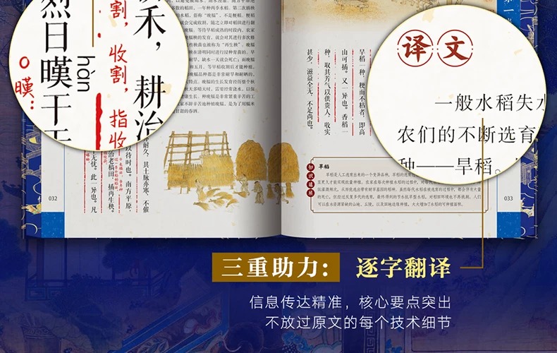 1785595242543463.jpeg 详情13.jpeg